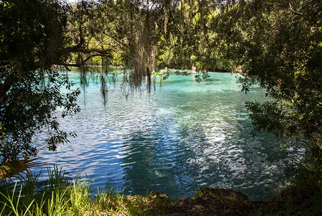 City_Silver Springs.jpg