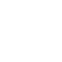 Footer Social Linkedin